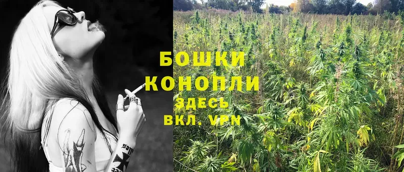 купить наркотики цена  ОМГ ОМГ рабочий сайт  Бошки Шишки OG Kush  Людиново 